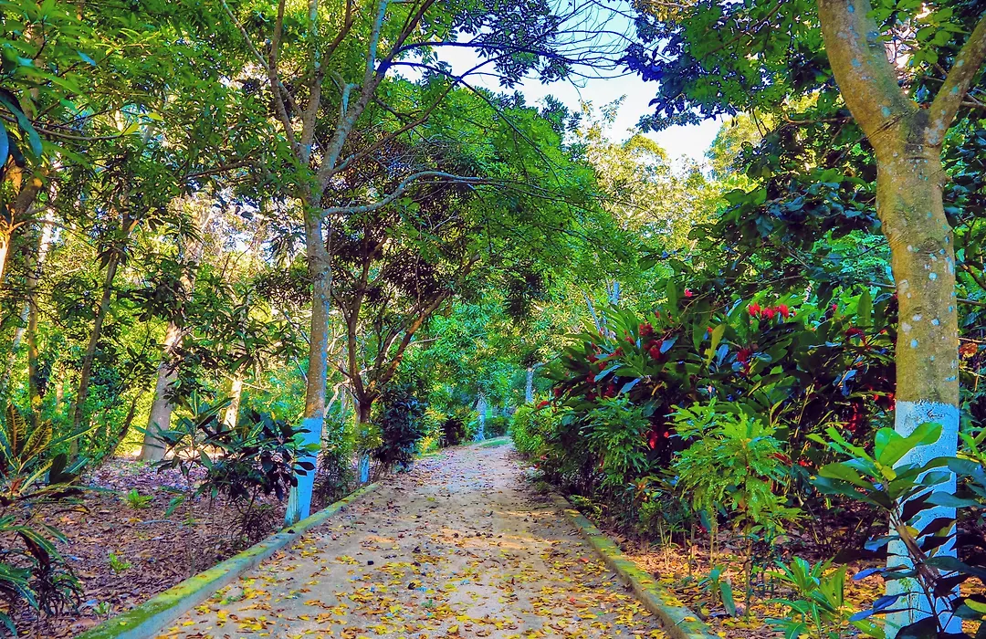 Villa Maria Tayrona, Jungle&Sea Experience-1